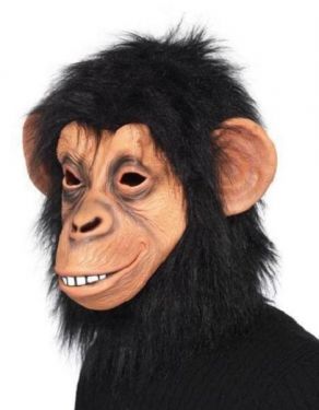 Fancy Dress Monkey Chimp Mask