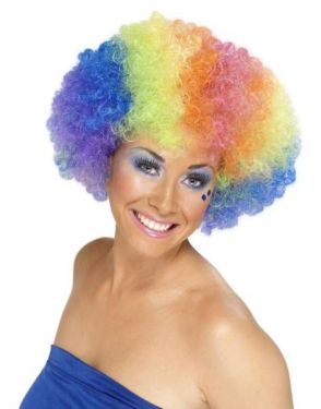 1970s Unisex Funky Afro Crazy Clown Wig - Rainbow