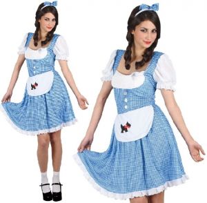 Ladies Country Girl Dorothy Fancy Dress Costume