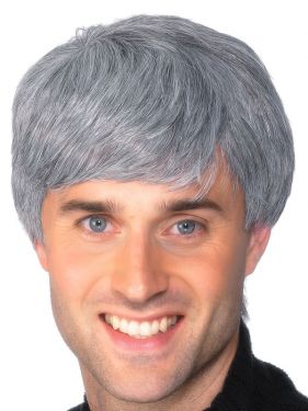 Modern Male Corporate Grey Wig
