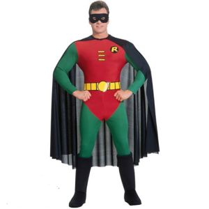 Robin Costume