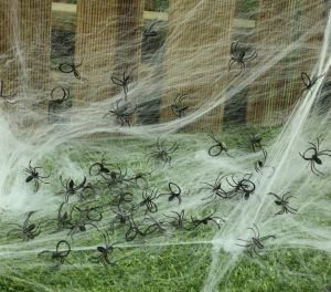 Halloween Bag of 50 Spiders