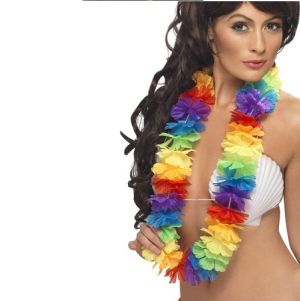 Hawaiian Fancy Dress Lei Garland - Rainbow