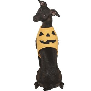 Dog Pumpkin Costume