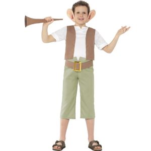 Childrens Roald Dahl BFG Costume