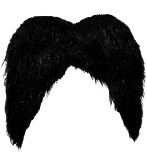 Mexican Bandit  Gringo Tash