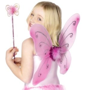 Childrens Butterfly Wings & Wand - Pink