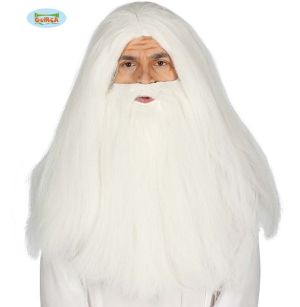 Wizard Wig & Beard