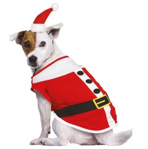 Pet Dog Santa Costume