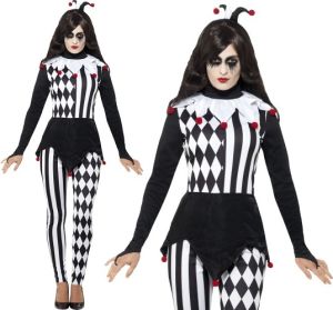 Ladies Jester Fancy Dress Costume 