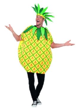 Adult Pineapple Fancy Dress Costume