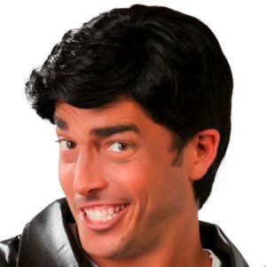 Mens Rock Star Fancy Dress Black Wig