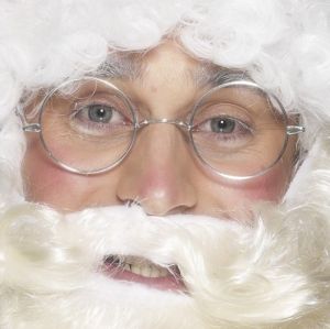 Christmas Fancy Dress Round Santa Specs Glasses