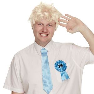 Adult Posh Politician Wig, Tie & Rosette Set