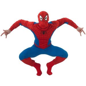 Mens Spiderman Costume