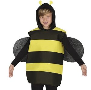 Childs Bumble Bee Fancy Dress Costume & Wings