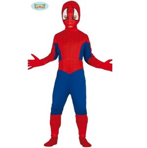 Childs Spider Boy Fancy Dress Costume