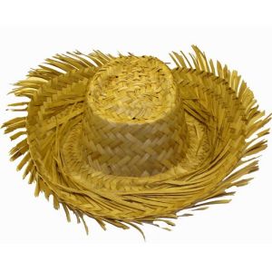 Hawaiian Fancy Dress Straw Beachcomber Hat