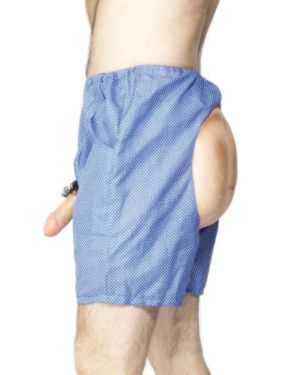 Adult Stag Night Bum & Willy Boxer Shorts