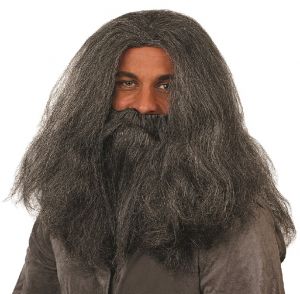 Mens Wizard Wig & Beard Set