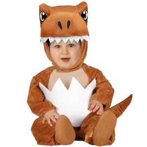 Babies T Rex Costume