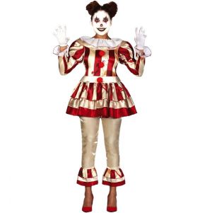 Ladies Striped Clown Costume